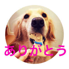 [LINEスタンプ] らしくん パート2