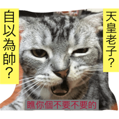 [LINEスタンプ] Choco cat - no no