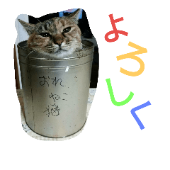 [LINEスタンプ] どうも。猫です。