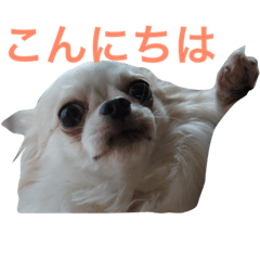 [LINEスタンプ] るんたンプ1