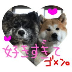 [LINEスタンプ] akitas family