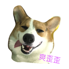 [LINEスタンプ] Corgi Star