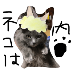 [LINEスタンプ] ひまねこさんたち