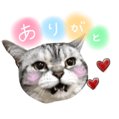 [LINEスタンプ] めるちゃんの日常スタンプ