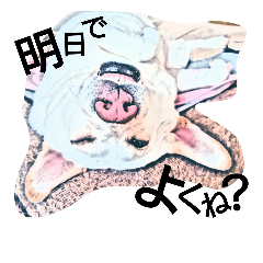 [LINEスタンプ] それいけ保護犬②