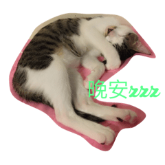 [LINEスタンプ] Dge