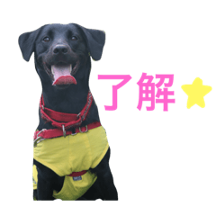 [LINEスタンプ] エルモちゃん