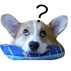 [LINEスタンプ] corgi newnew's life v1.0