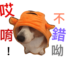 [LINEスタンプ] BJ's corgi Feeling