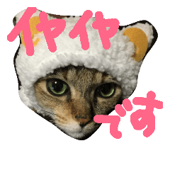 [LINEスタンプ] かわいいモーちゃんスタンプ