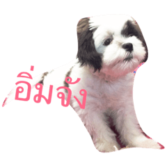 [LINEスタンプ] Mojo is dog