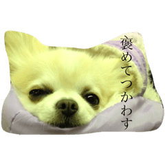 [LINEスタンプ] ルチルとセレナ