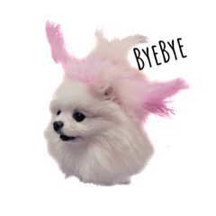 [LINEスタンプ] cici0105