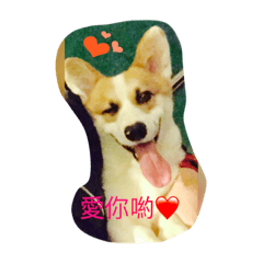 [LINEスタンプ] Habib QQ