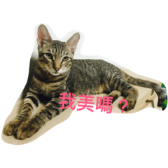 [LINEスタンプ] riceball-1