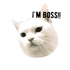 [LINEスタンプ] cashier the face meaw