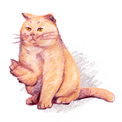 [LINEスタンプ] Dylan's Life : Sketch #1