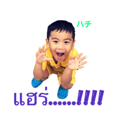 [LINEスタンプ] Hachi-kun Style 01