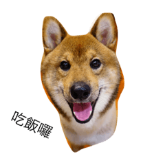 [LINEスタンプ] Very cute dogs and baby