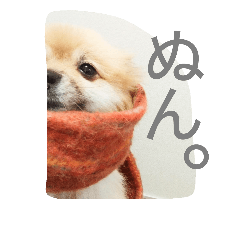 [LINEスタンプ] 表情豊かなポメちゃんスタンプ3