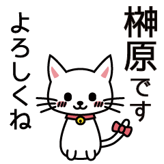 [LINEスタンプ] 榊原さんと榊原さんの友達用