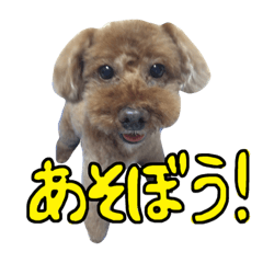 [LINEスタンプ] T.Kuu2