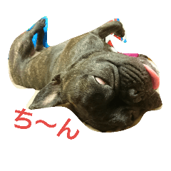 [LINEスタンプ] たらんぷ