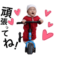 [LINEスタンプ] よく使う定型文