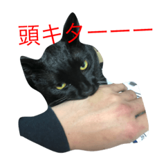 [LINEスタンプ] Black cat rial kikichan