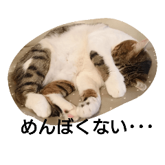 [LINEスタンプ] にゃーごスタンプ2