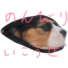 [LINEスタンプ] 飼い犬えみぃちゃん♪時々ソフィ♪