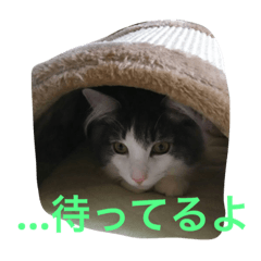 [LINEスタンプ] うちのうじ