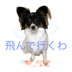 [LINEスタンプ] Milky,Luna,Hima..my pets.