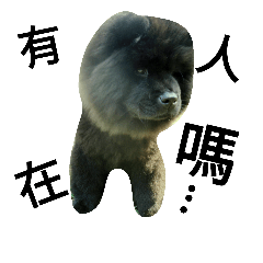 [LINEスタンプ] Happy New Year chow chow