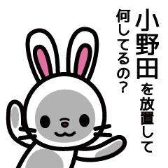 [LINEスタンプ] 小野田さんと小野田さんの友達用