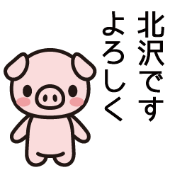 [LINEスタンプ] 北沢さんと北沢さんの友達用