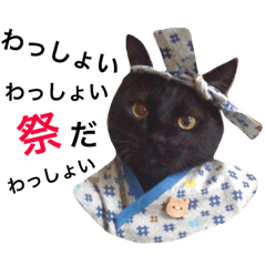 [LINEスタンプ] ねこいぱーい