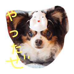 [LINEスタンプ] りりさまだぜ