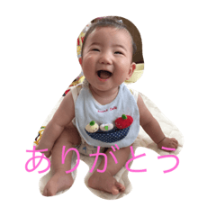 [LINEスタンプ] こはくくんスタンプ