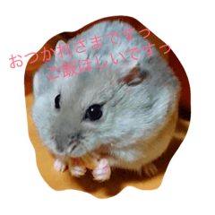 [LINEスタンプ] くるたんもちみるく