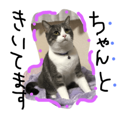 [LINEスタンプ] まるちゃんとなつくん