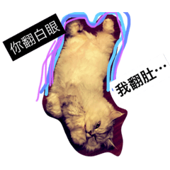 [LINEスタンプ] CatServant1