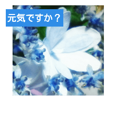[LINEスタンプ] 紫陽花と日常の挨拶
