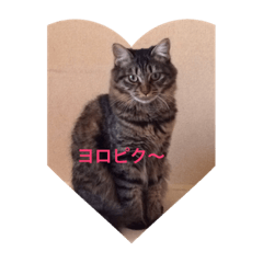 [LINEスタンプ] むすめちびか