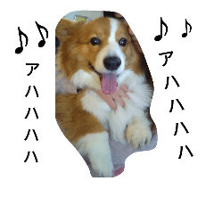 [LINEスタンプ] the welsh corgi youcan'twork5