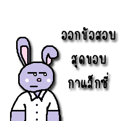 [LINEスタンプ] VIORABBIT (ver. student)