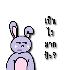 [LINEスタンプ] VIORABBIT