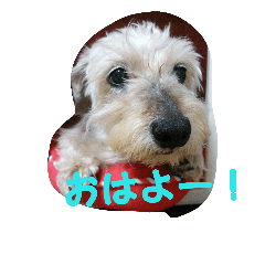 [LINEスタンプ] 癒しいろいろ