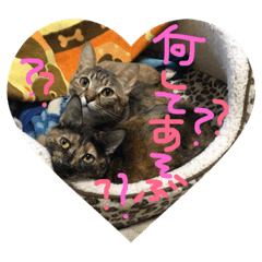 [LINEスタンプ] むぎさび