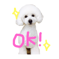 [LINEスタンプ] かわいいうちのワンちゃんです(^-^)3